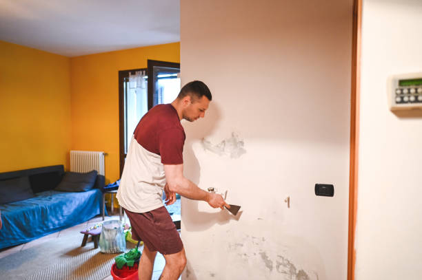 Best Affordable Mold Removal  in Berea, SC